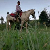Foto von Sara Balderi