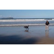 Mags The renovator's photo