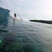 Roy Caelius's photo