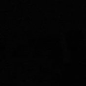 Judy Hillard's photo