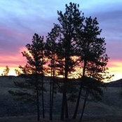 Judy Weller's photo