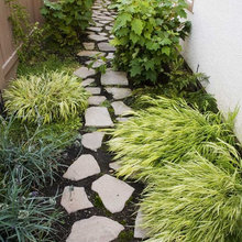side yard