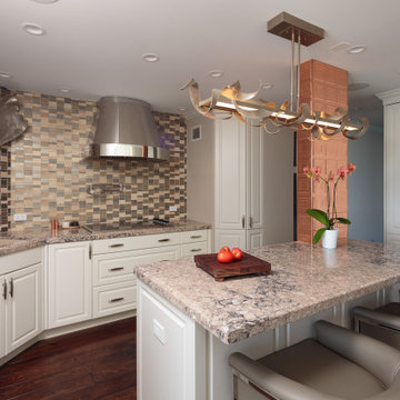 Transitional Chicago Condominium