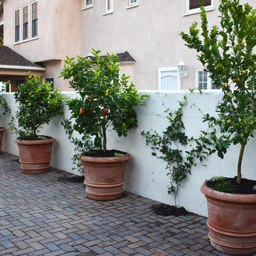 California Native Storybook Garden