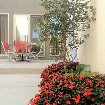 Home Serenity / Florascaping and Plantscaping