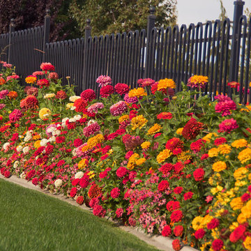 Tropical Landscape Design Ideas
