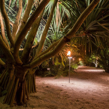 South Florida Sandy Hammock and Grass Yard in Delray Beach