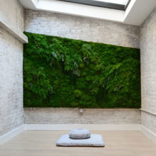 Meditation Room