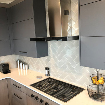 Downtown Denver High Rise Kitchen Renovation