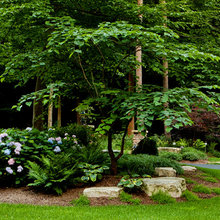 front yard