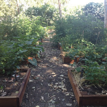 ebay, inc. Corporate Vegetable Garden Installation & Employee Garden Education