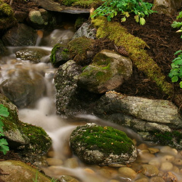 Water Features