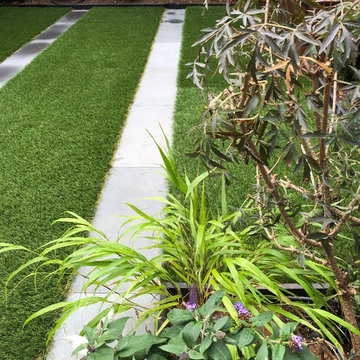 Brooklyn backyard with small playground