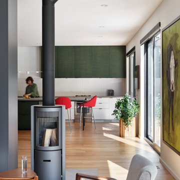 Modern Wood-Burning Stuve Fireplace