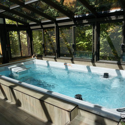 Endless Pool&reg; Swim Spa Series - Lifestyle And Leisure