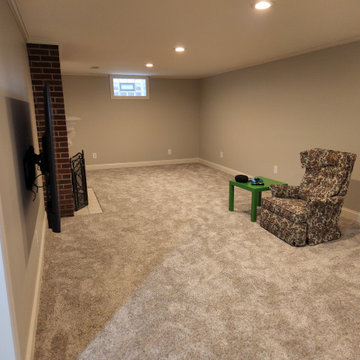 Kenton, Grand Rapids, Basement Repair/Update