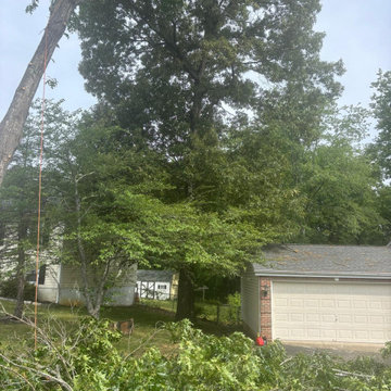 Tree Removal, Land Clearing & Site Preparation Project