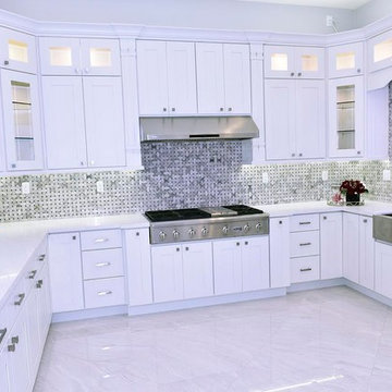 White Contemporary Kitchen