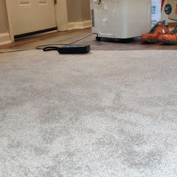 Flood Damage Cleanup and Water Damage Restoration Project