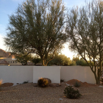Fence Ideas