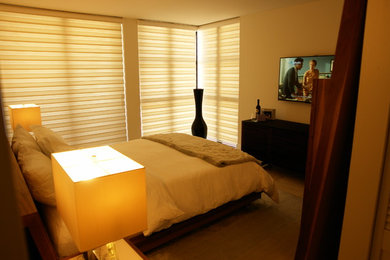 Inspiration for a contemporary bedroom remodel in Other