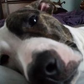 Trisha Greiner's photo