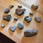 Leslie Gallant's photo