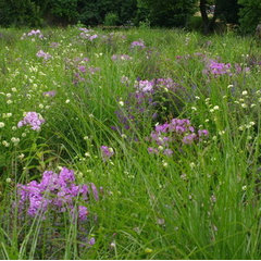 Richardson & Associates, Landscape Architects