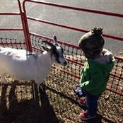 Mary Saltzman's photo