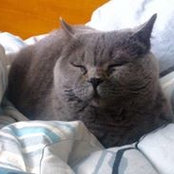 Ni Cesse's photo