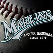 Ancona Marlins's photo