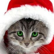 Karla Castillo's photo