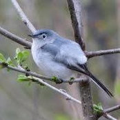 Deborah Jordan's photo