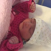 Photo de Diraj Sarika