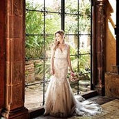 Shelley Kolosey's photo