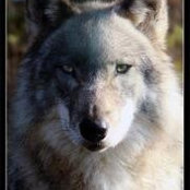 Angela Schaffer's photo