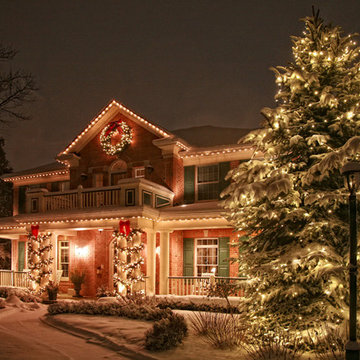 Winter Wonderland of Trees & Bushes