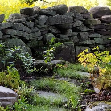 Cottage Woodland Garden