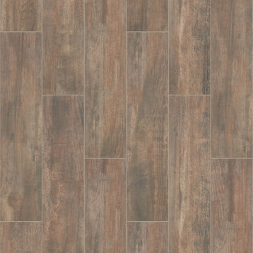 Shaw CS71W Olympia - 8" x 36" Rectangle Floor and Wall Tile - - Brown