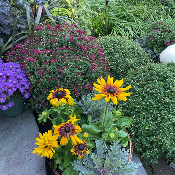 FALL SEASONAL COLOR