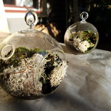 Container Gardens
