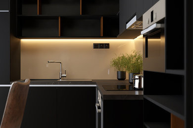 Example of a kitchen design in Other