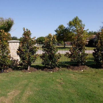 Flowering Trees & Shrubs