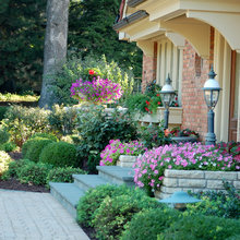 Landscape Ideas