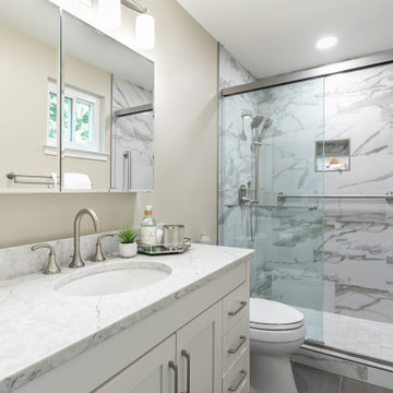 Hall Bathroom in Fairfax, Va.