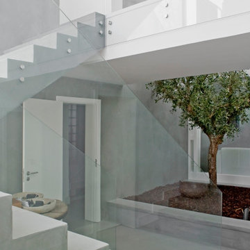 Concrete Staircase with Glass Guardrail and Olive Tree