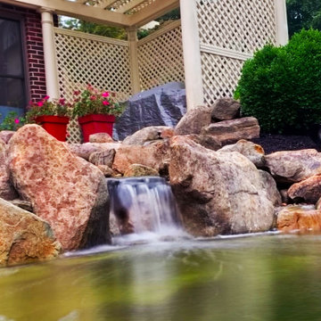 Renovating an Old Pond