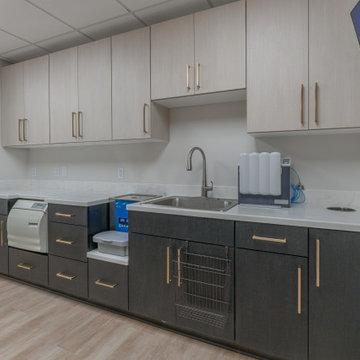 Dental Office Commercial Cabinetry