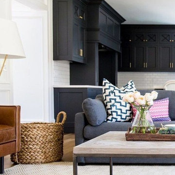 Living Rooms/Family Rooms