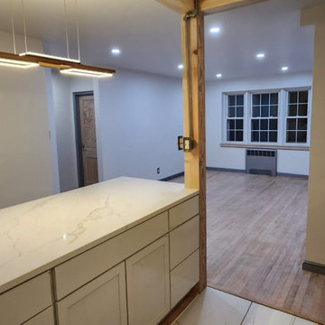 Whole Condo Remodel In Progress